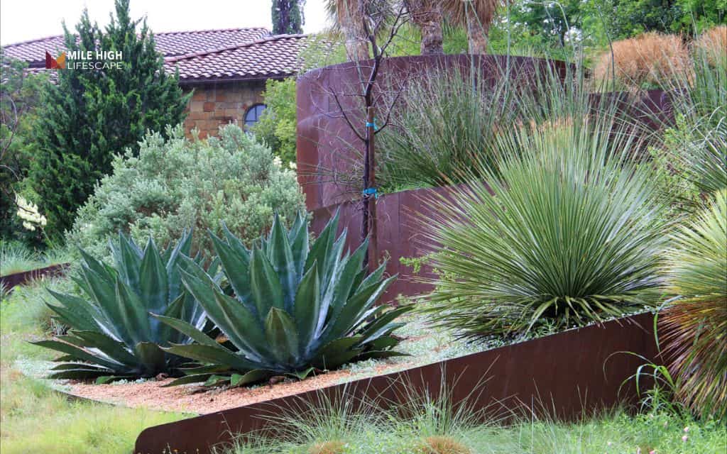 mid century modern landscape: Add architectural plants (agave, yucca)