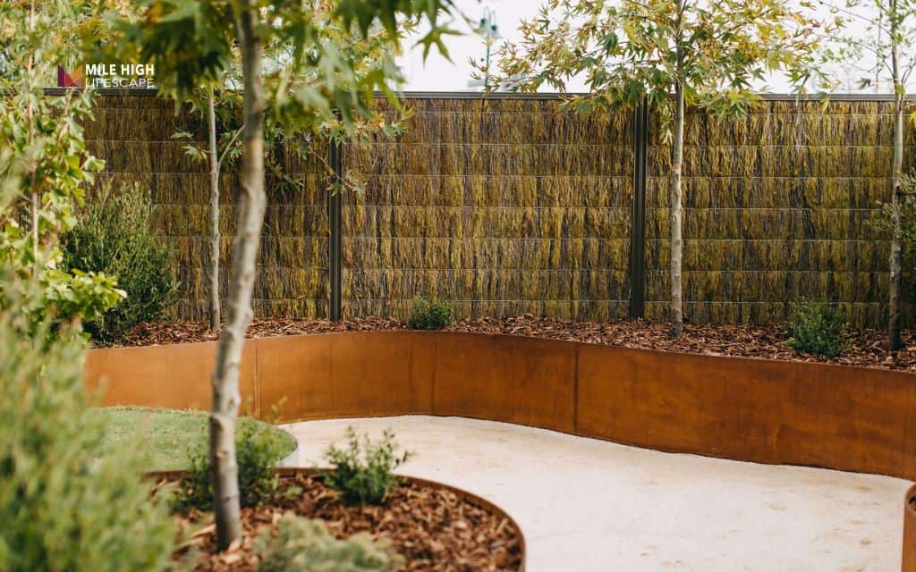 mid century modern landscape: Add raised planters with clean edges