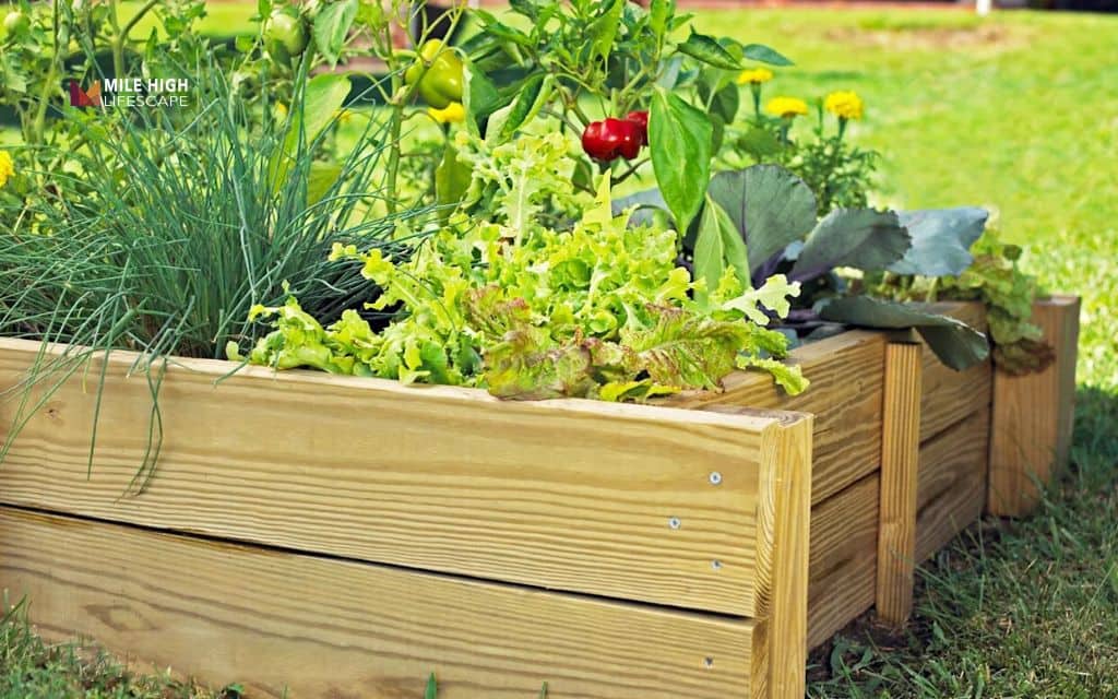 Fence line landscape ideas: Build a raised garden bed along your fence