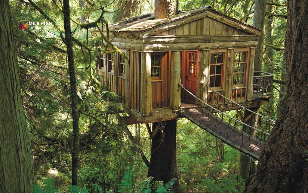 Large backyard landscaping ideas: Build a treehouse