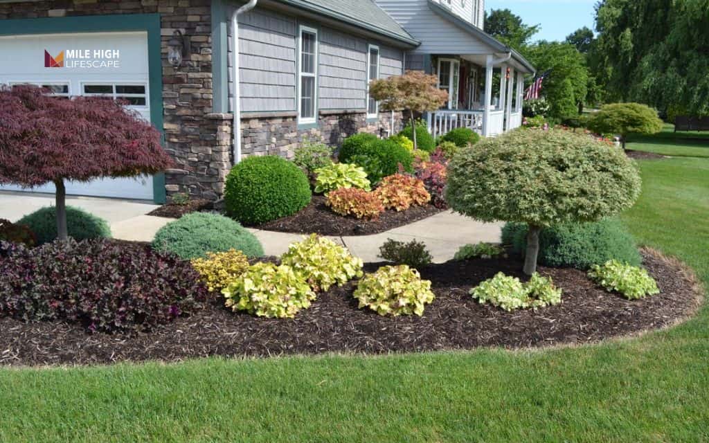 driveway landscape ideas: Clean mulch border with shrubs
