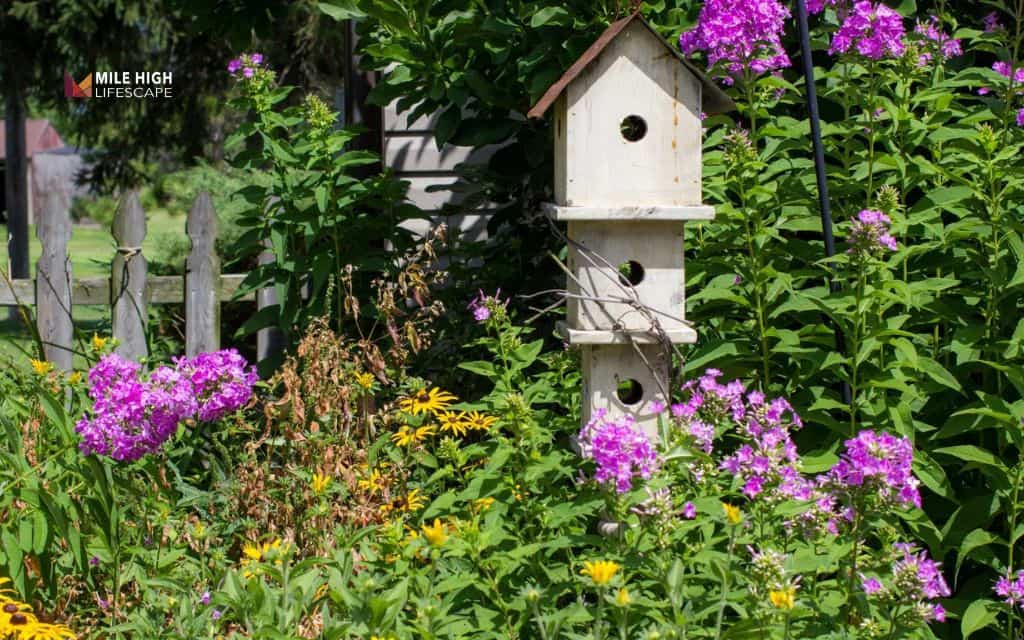 Fence line landscape ideas: Create an airy pollinator garden along the fence
