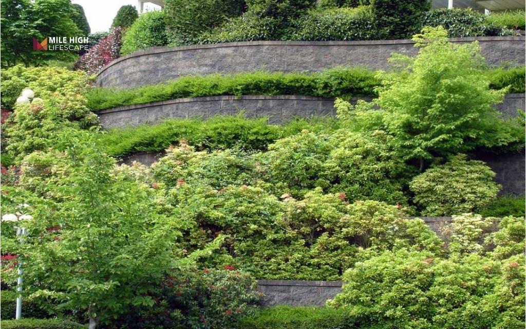 Large backyard landscaping ideas:: Incorporate retaining walls or terraces