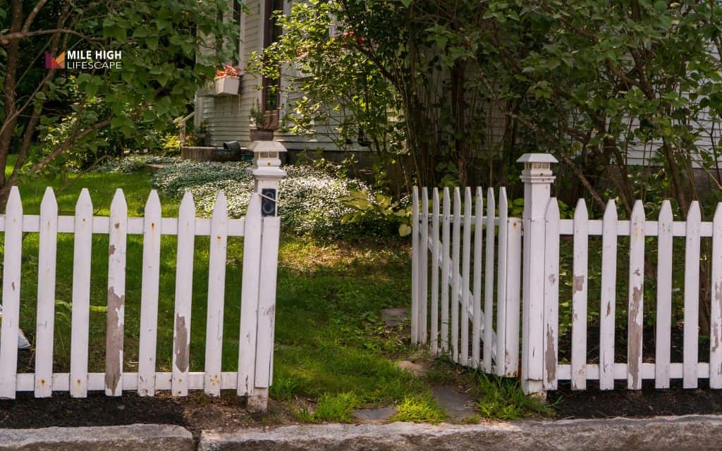 Fence line landscape ideas: Incorporate wildlife - friendly features into your fence line