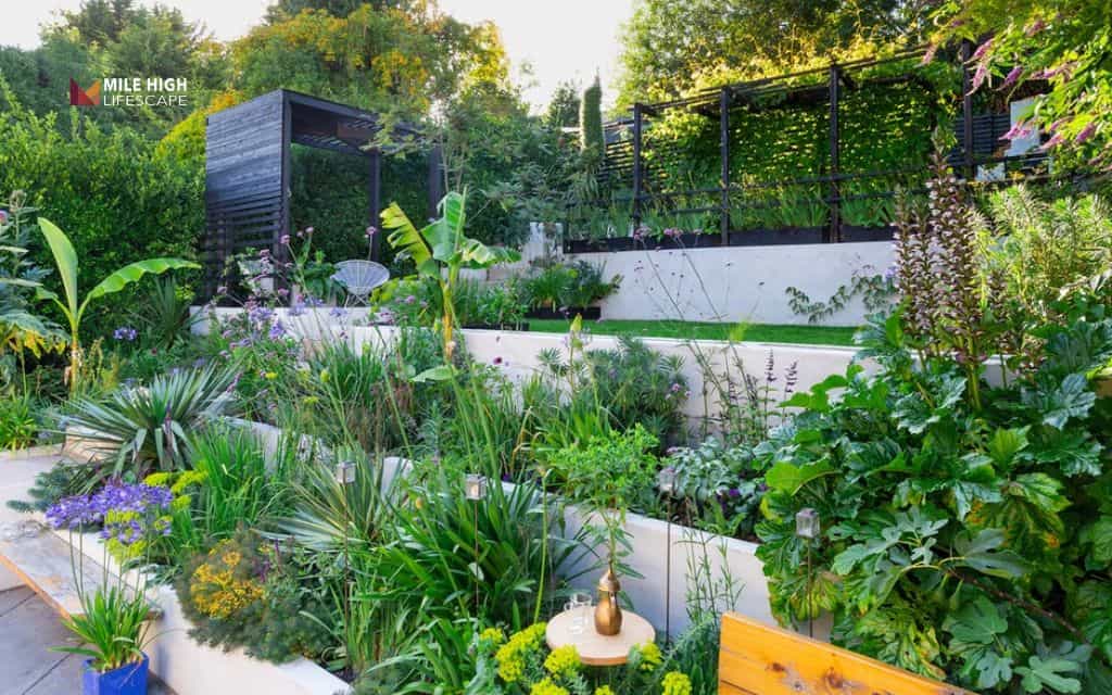 hill landscape: Layered planting design