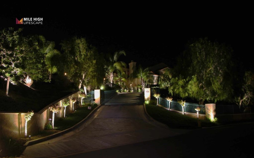 driveway landscape ideas: Lighting along driveway