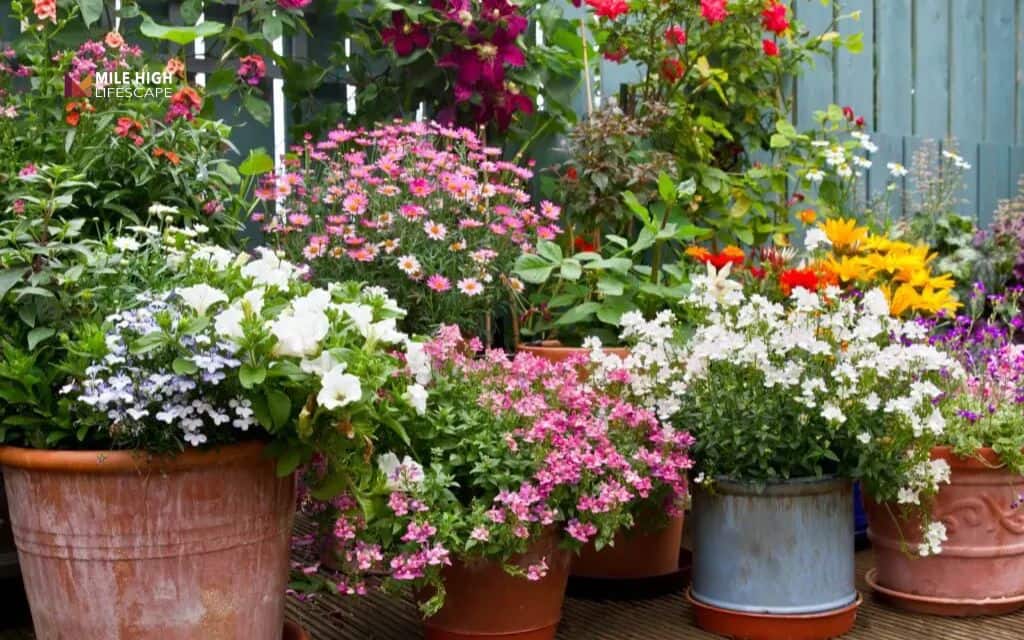 patio landscape ideas: Mix raised beds and containers