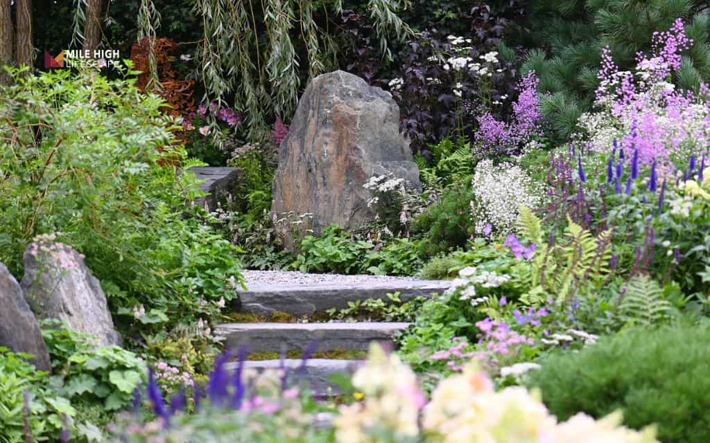 hill landscape: Mixed rock and plant design