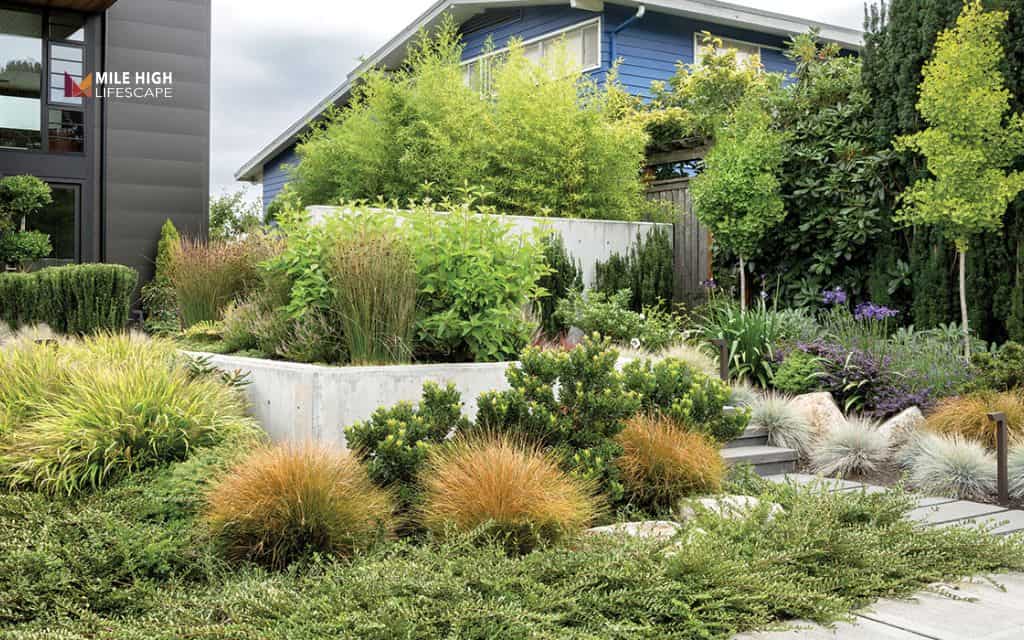 Modern hardscape + green combo