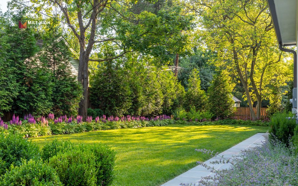 Large backyard landscaping ideas: Plant large shade trees