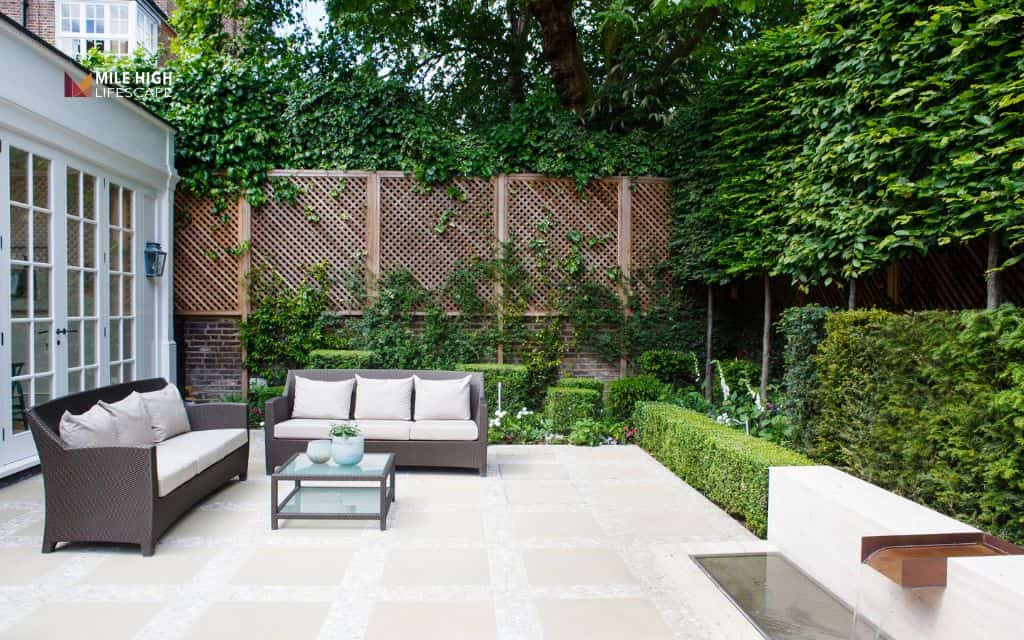 small backyard landscape ideas: Protect privacy with plants or screens
