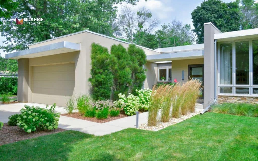 mid century modern landscape: Repeat plant groupings