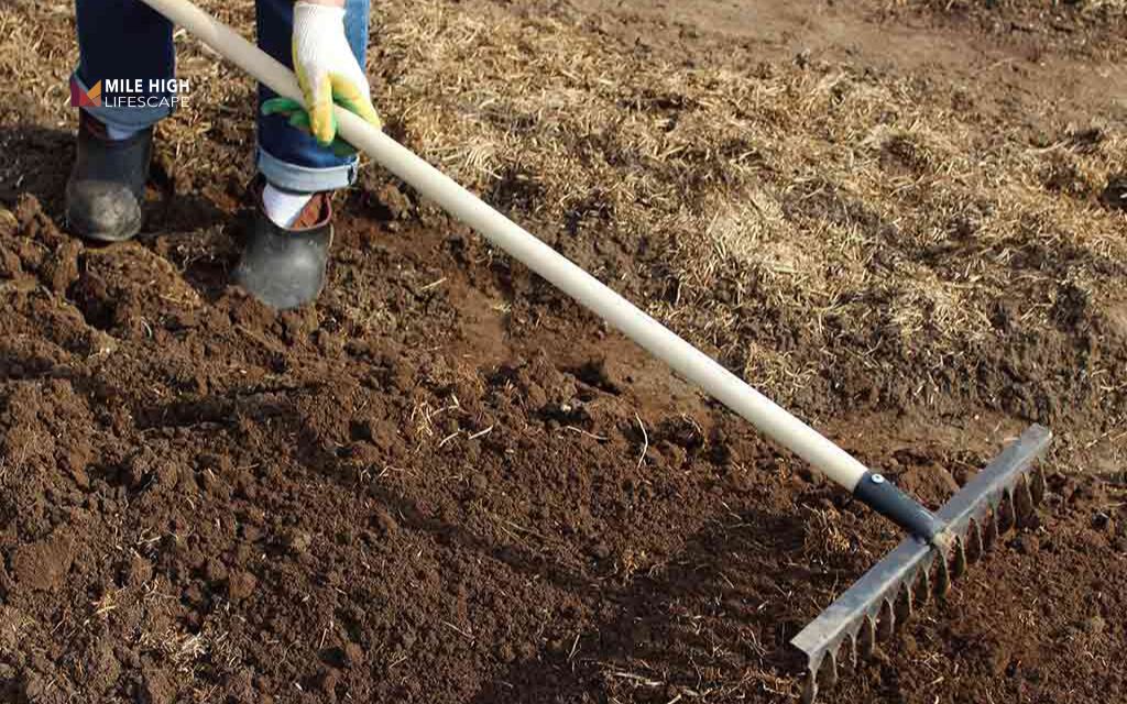 How to lay landscape fabric: Step 1: Clear and prepare the area