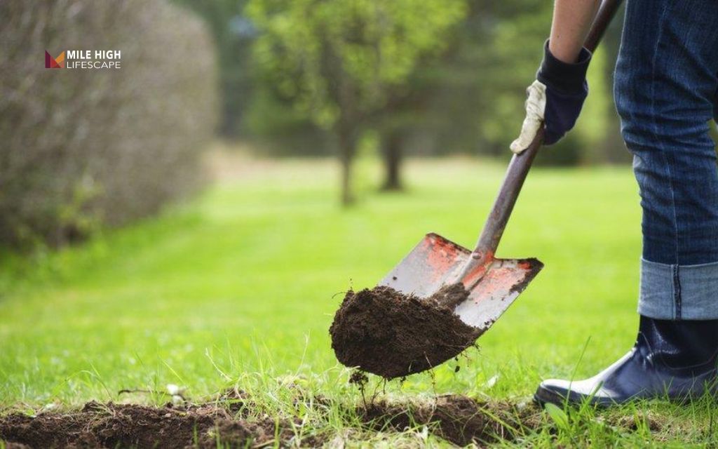 How to lay landscape fabric: Step 2: Smooth and compact the soil