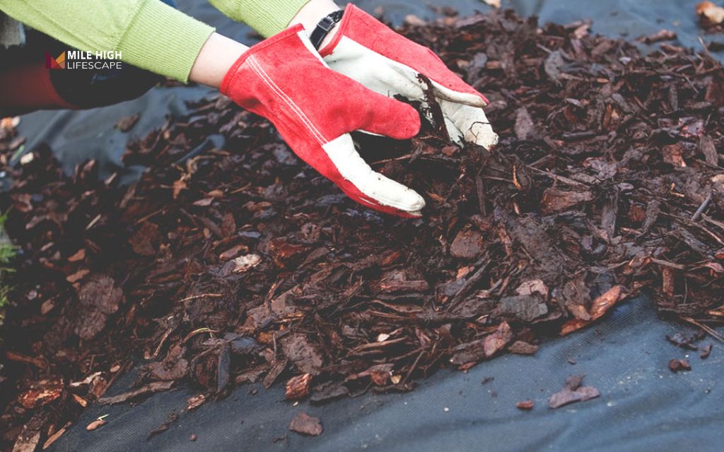 How to lay landscape fabric: Step 4: Secure with landscape staples