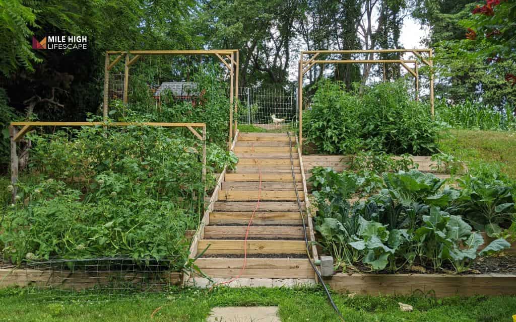 hill landscape: Terraced garden beds