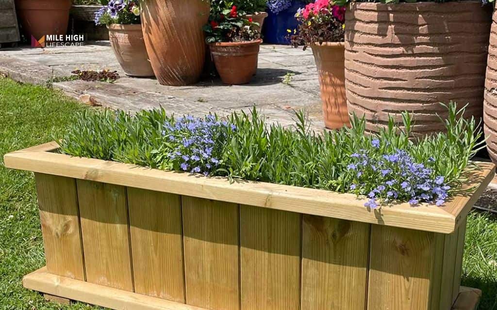 Landscape timber ideas: Timber planter boxes