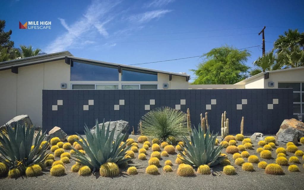 Use drought-tolerant plants