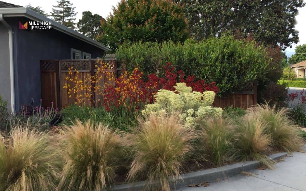 Use ornamental grasses