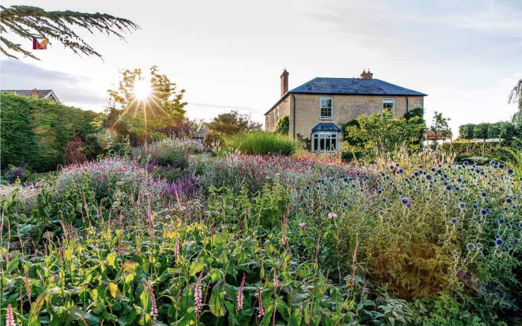 hill landscape: Wildflower hill garden