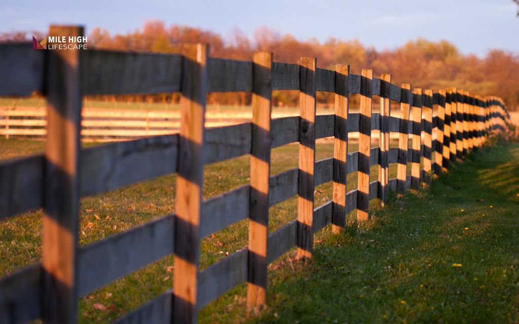 Fence line landscape ideas: Wood fence line landscape ideas