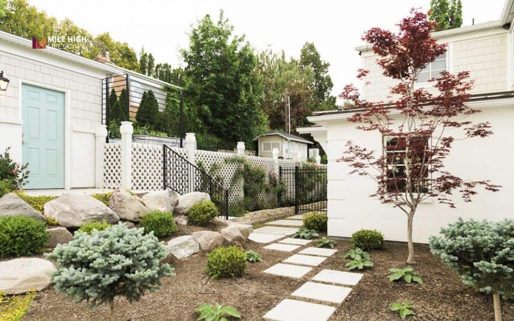 Xeriscape driveway edge