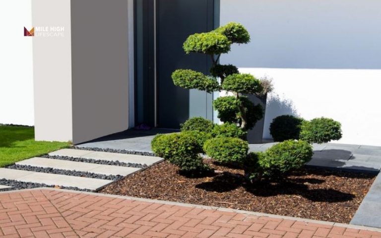 Cheap front yard landscape ideas; 21 cheap front yard landscaping ideas that look surprisingly expensive