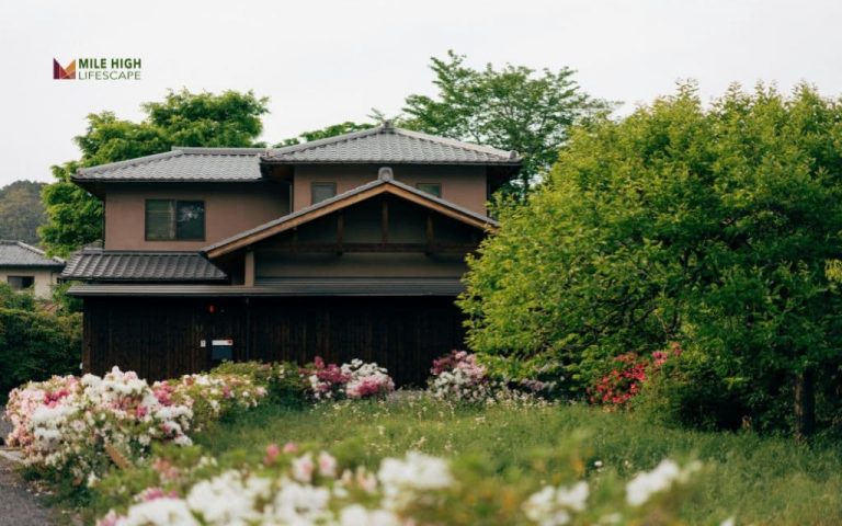 27 easy landscaping ideas to make any garden look amazing