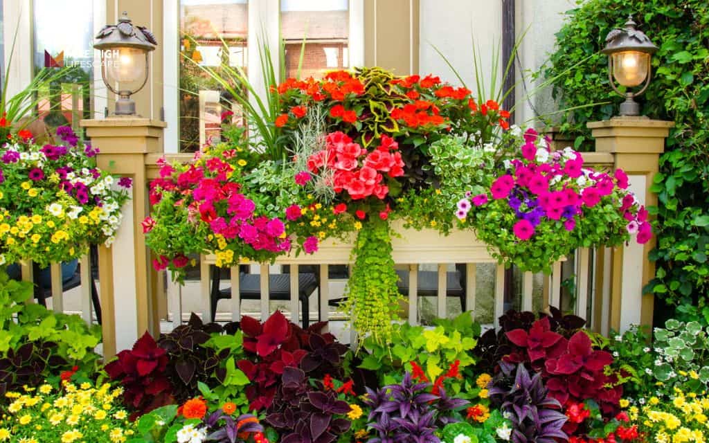 Flower bed ideas: Add a bright annual flower border
