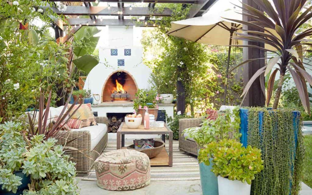 cactus landscape: Add cactus around patios and seating areas