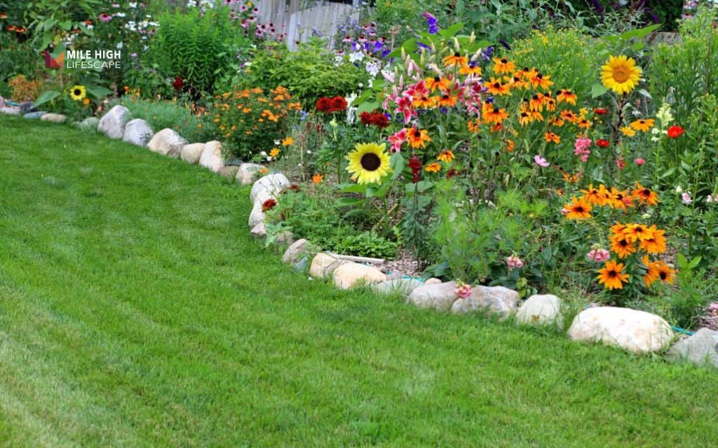 Flower bed ideas: Add decorative edging around flower beds