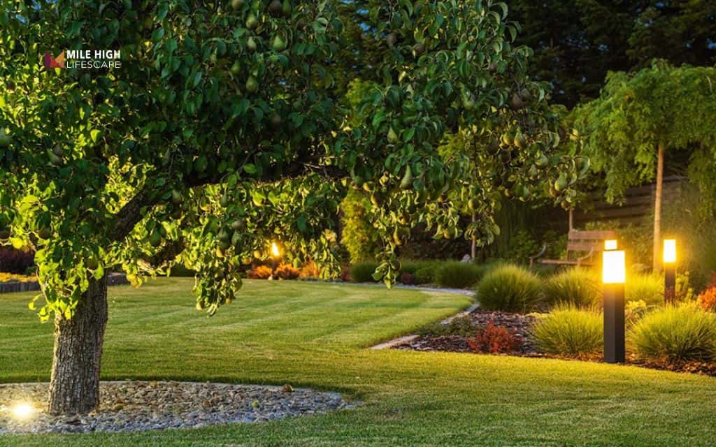 Desert front yard landscape: Add landscape lighting