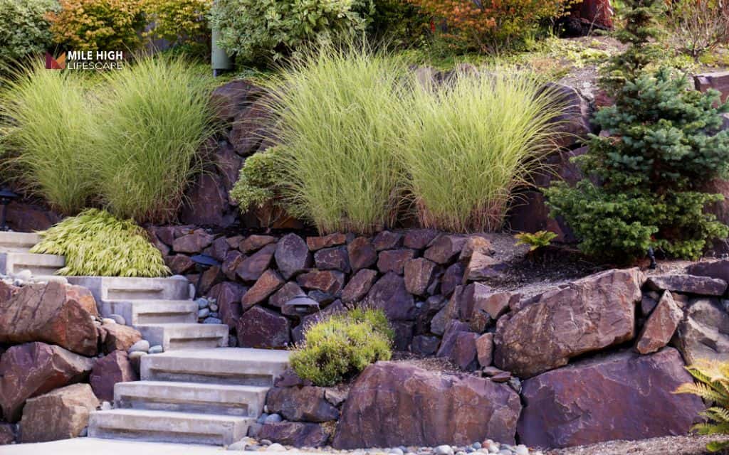 Hillside landscaping ideas: Anchor the slope with large boulders