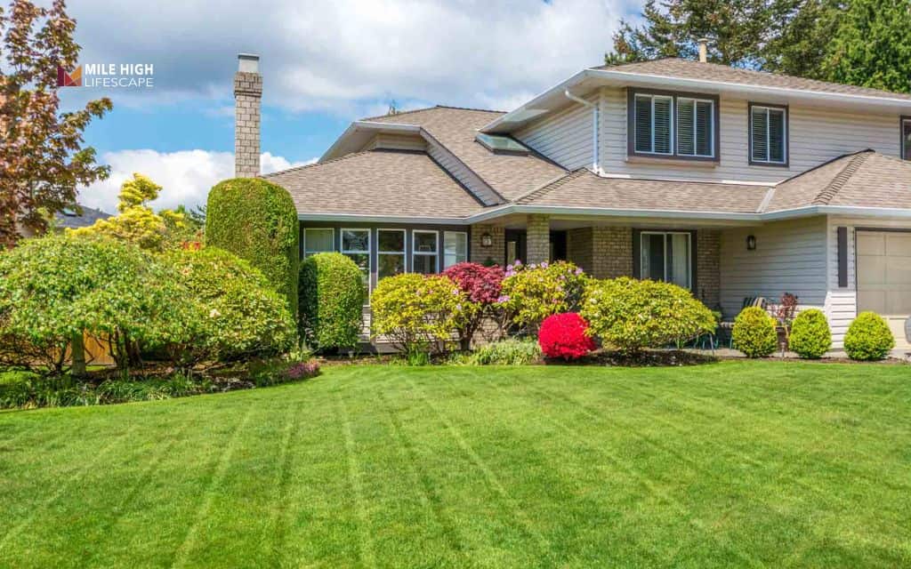 landscaping ideas: Boost home value with landscaping