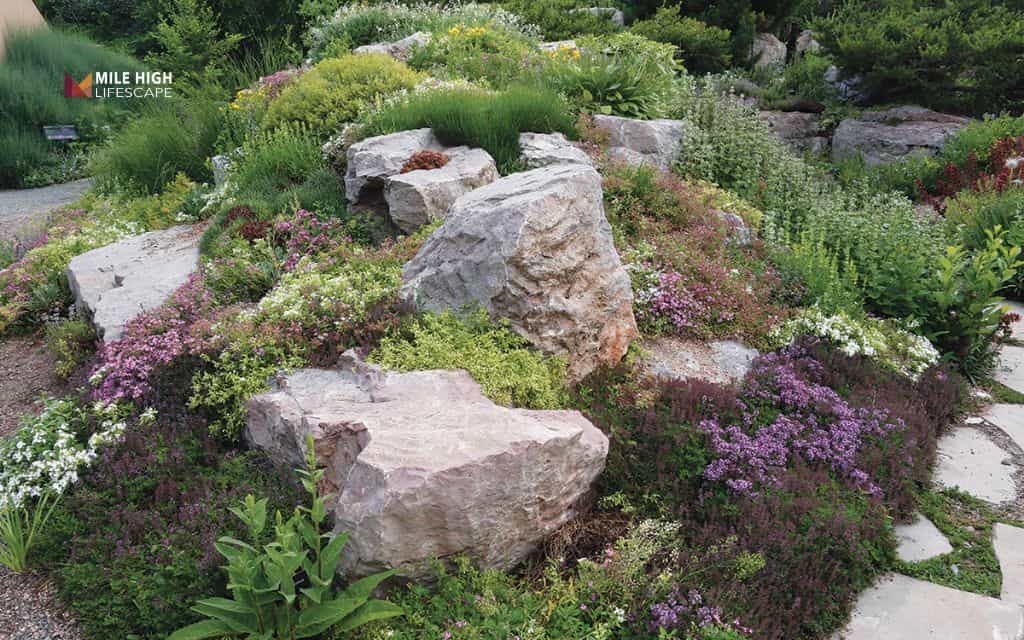 landscaping ideas: Build a DIY rock garden