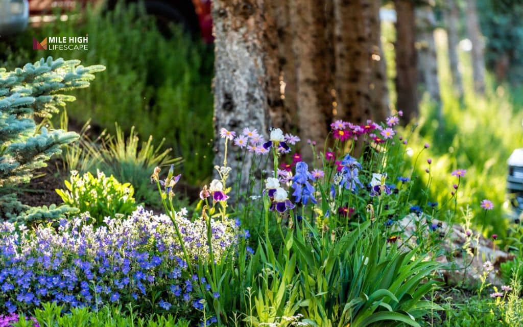 Build a four-season flower bed