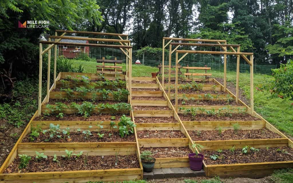 Hillside landscaping ideas: Build a hillside vegetable garden