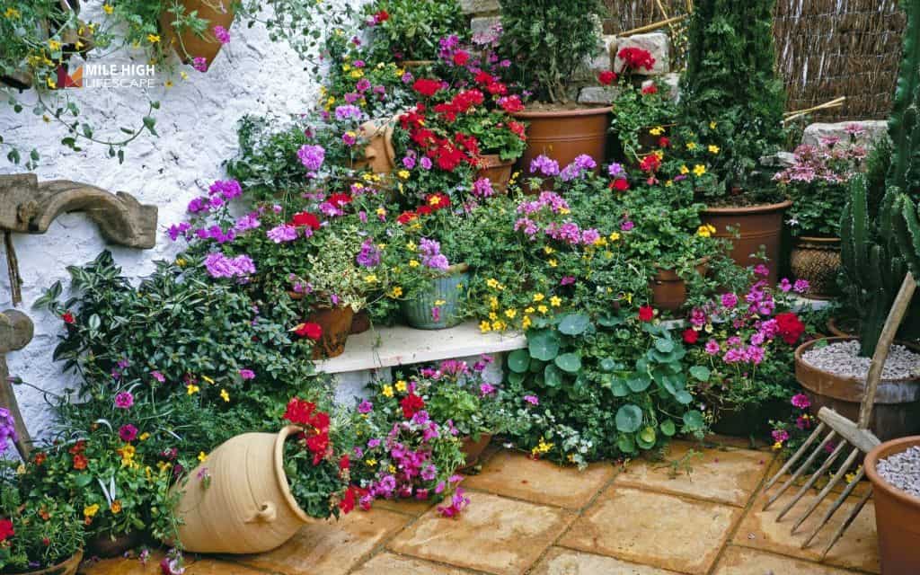 Flower bed ideas: Build a Mediterranean-inspired flower bed