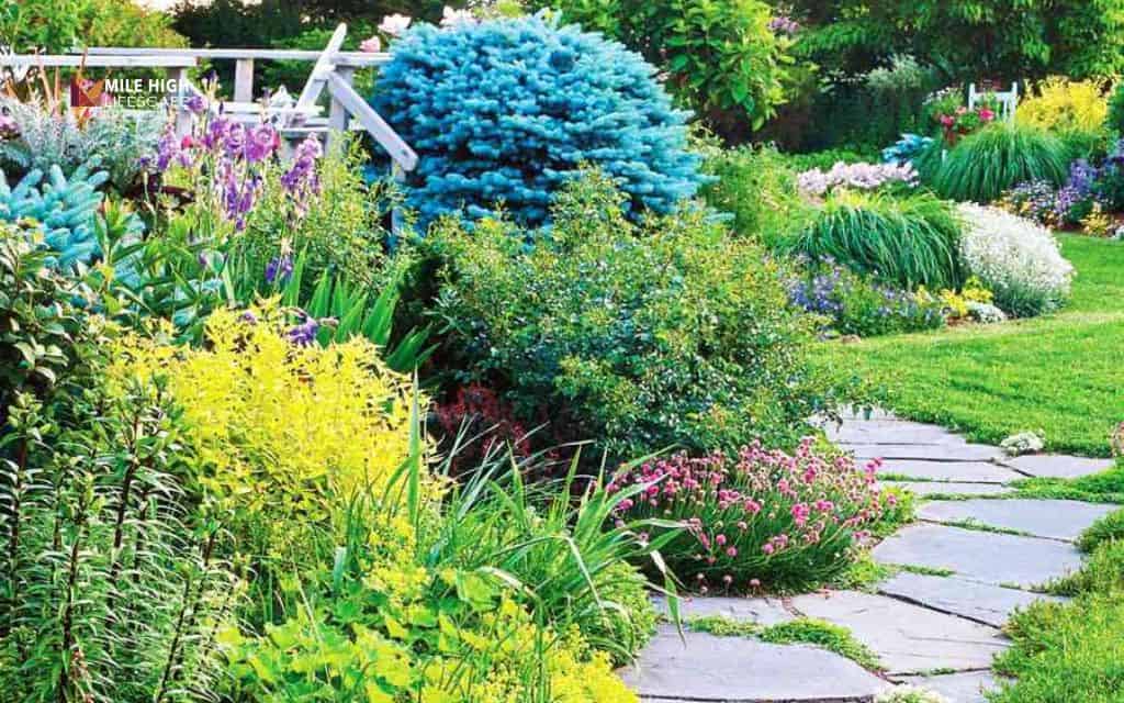 Cheap front yard landscape ideas: Build a simple pathway