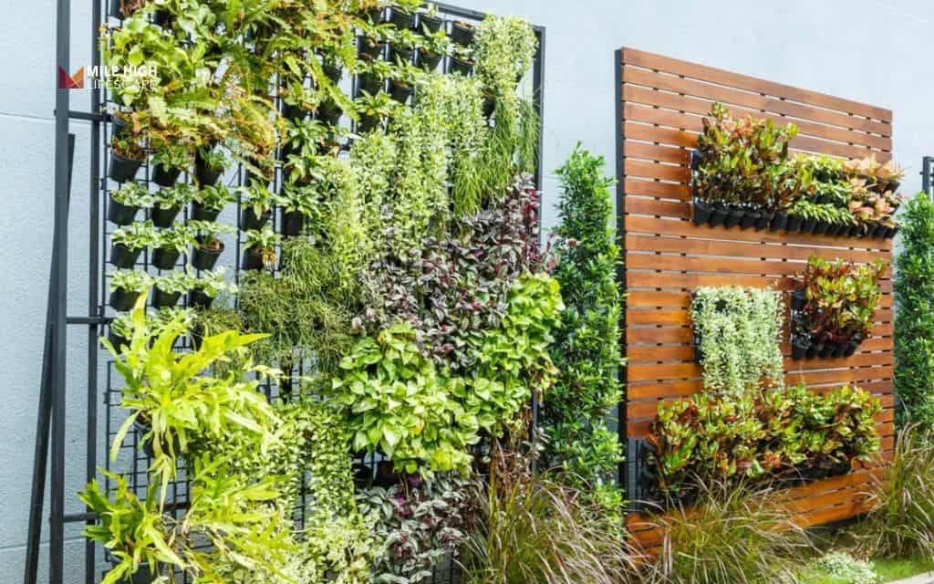 Landscape terrace: Build a vertical garden wall on the terrace