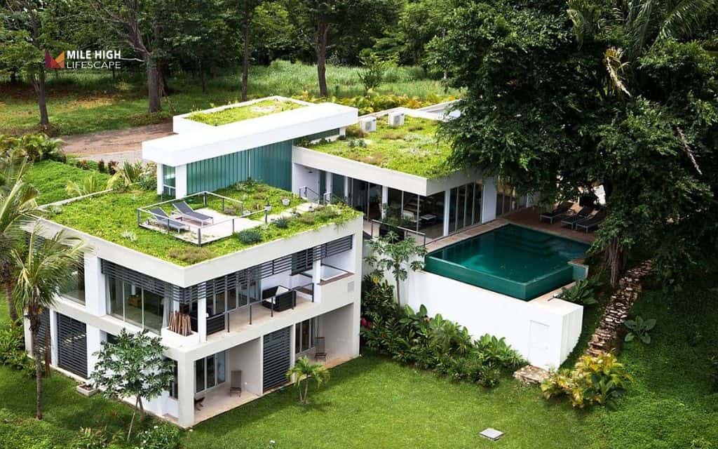 Landscape terrace: Build an eco-friendly green roof terrace