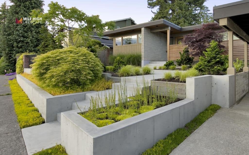 Hillside landscaping ideas: Combine concrete walls with modern planting