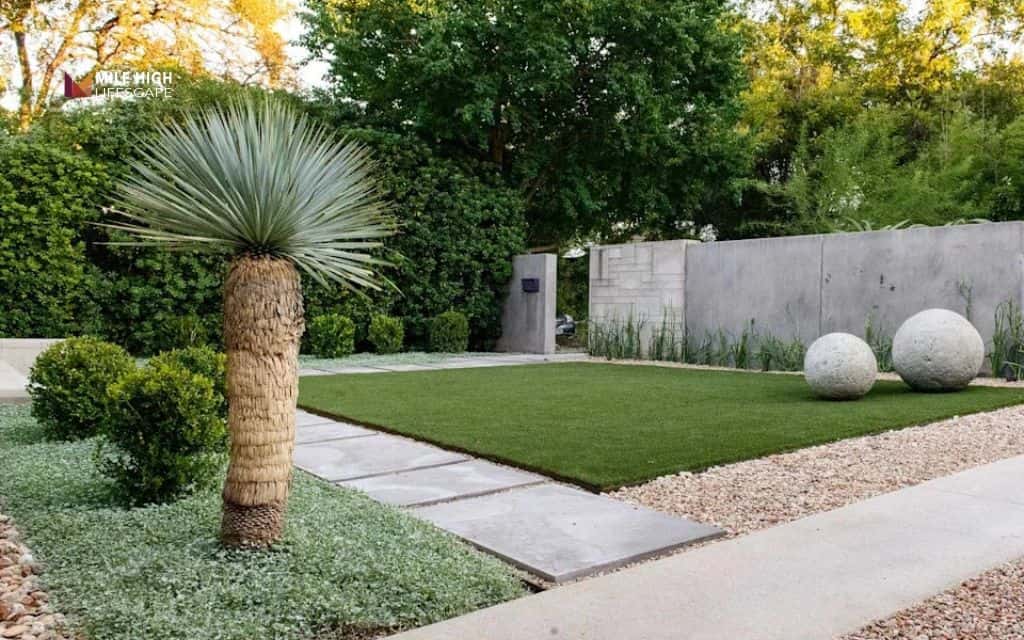 Juniper landscape uses: Create a low-maintenance front yard