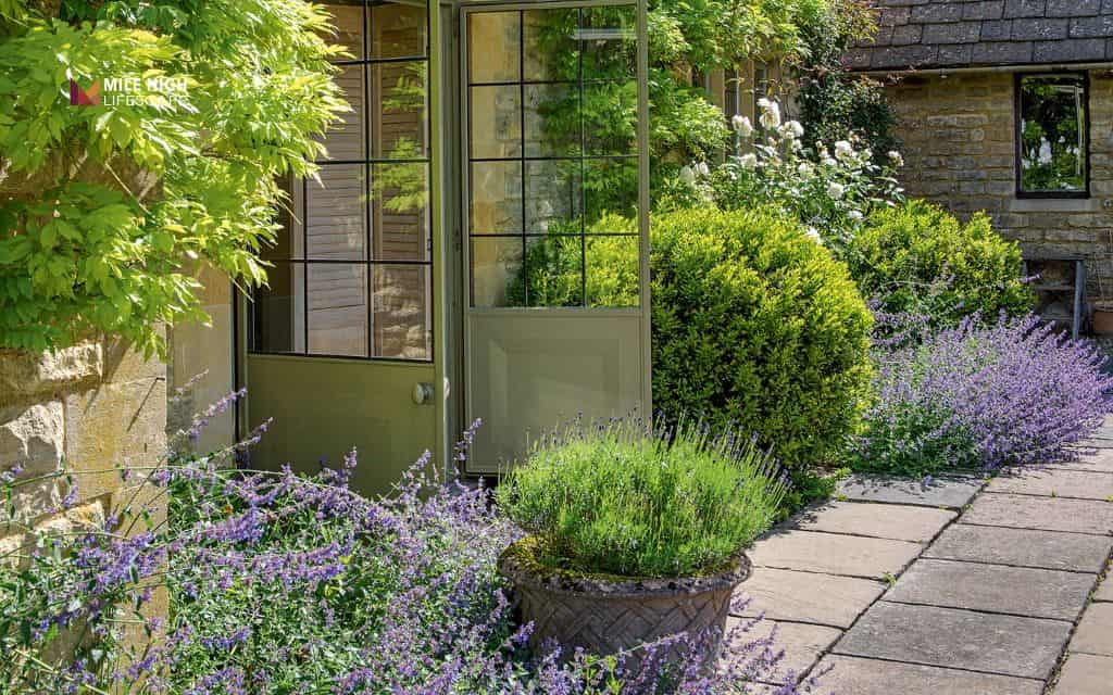 Lavender landscape ideas: Create a Mediterranean-inspired garden