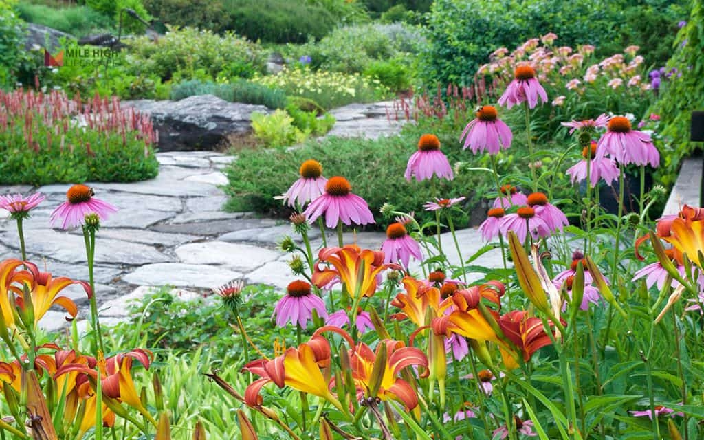 Flower bed ideas: Create a pollinator-friendly flower bed