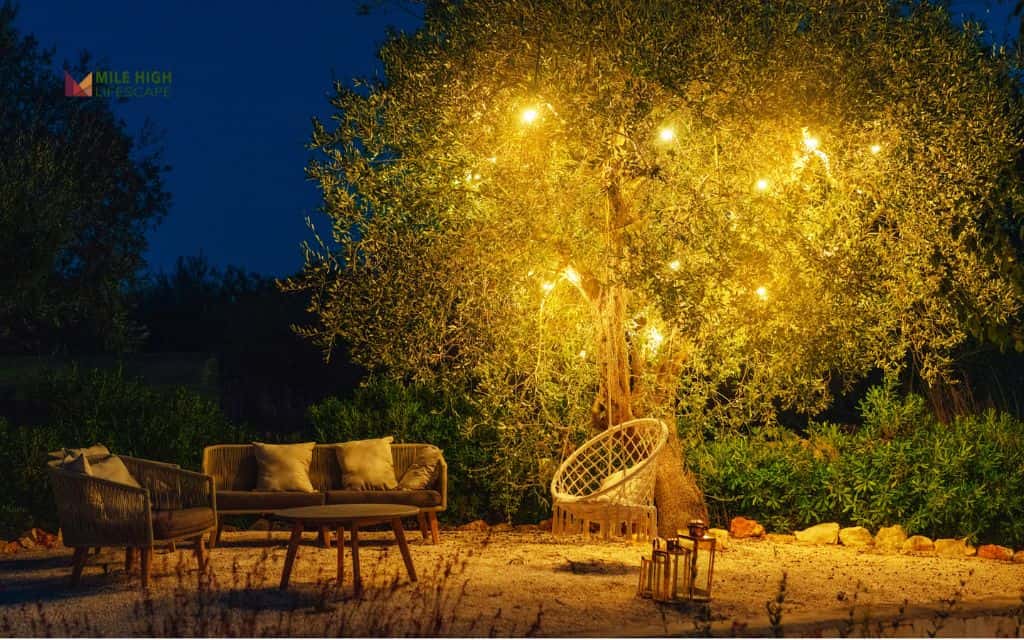 House landscape lighting: Create a soft moonlight glow through trees