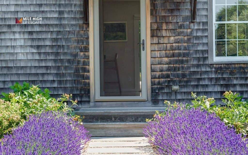 Lavender landscape ideas: Create a wow-factor front yard with lavender