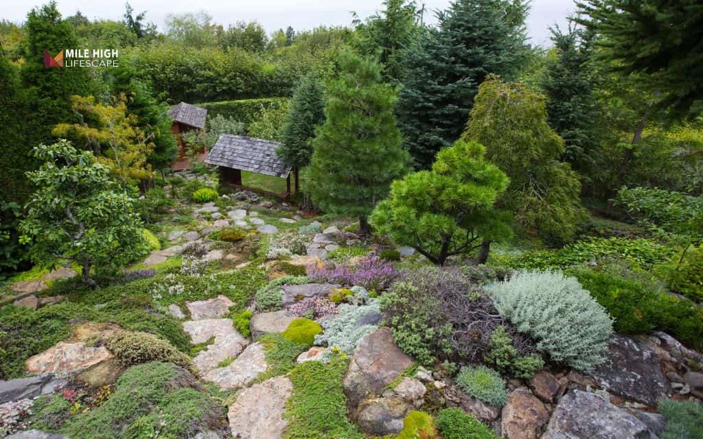 Hillside landscaping ideas: Create an alpine-inspired hillside garden