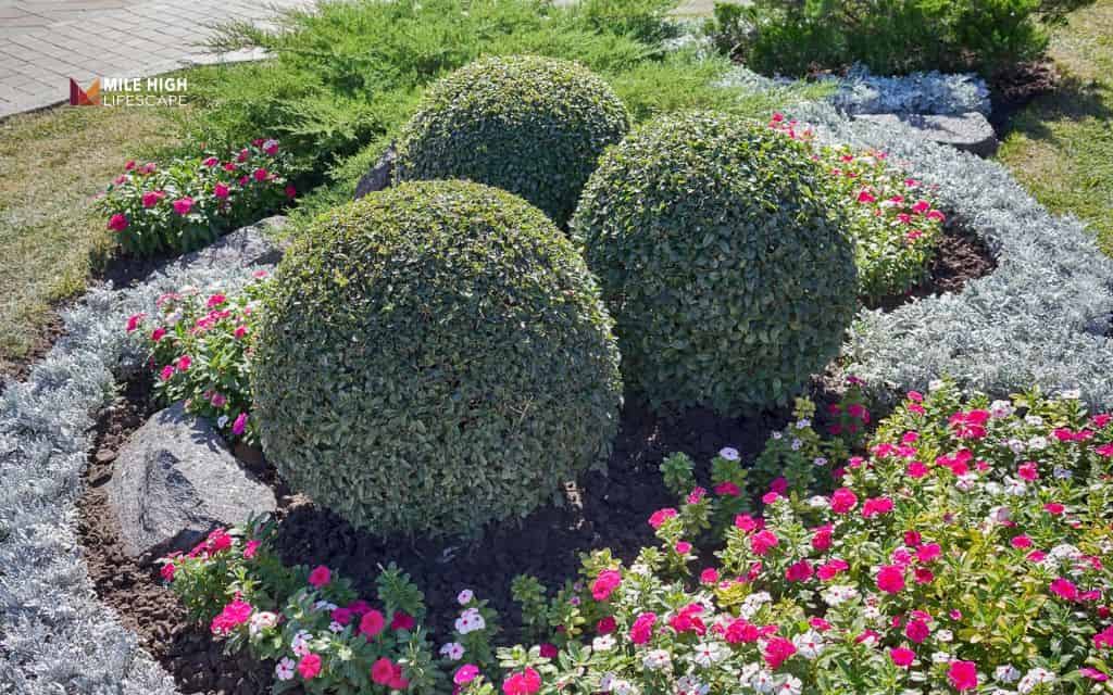 landscaping ideas: Define spaces with boxwoods