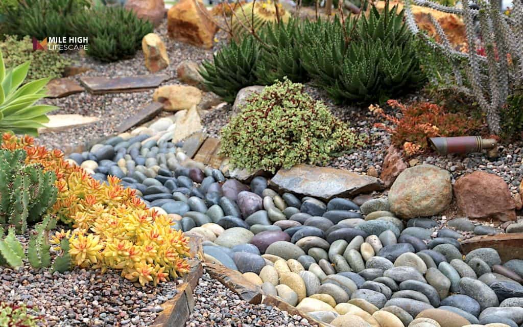 Flower bed ideas: Design a succulent and gravel flower bed